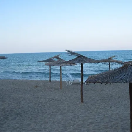 Complex Freya S Obzor