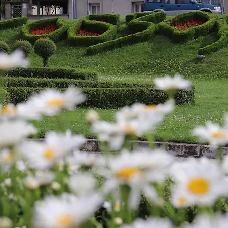 Complex Freya S Obzor