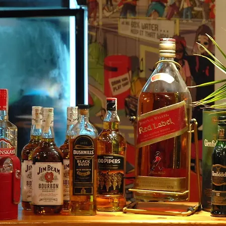 Complex Freya S 奥布佐尔