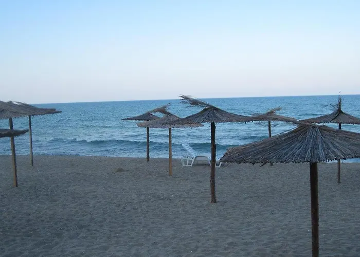 Complex Freya S 奥布佐尔