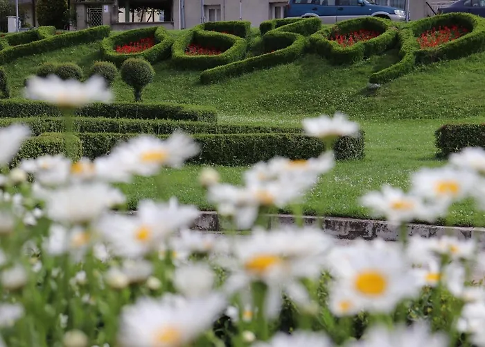 Complex Freya S 奥布佐尔